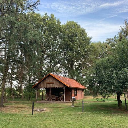 Ferienhaus Am Waldchen Villa Uelsen Екстериор снимка